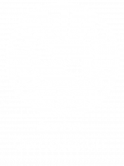 Values Icon Text Aroha2